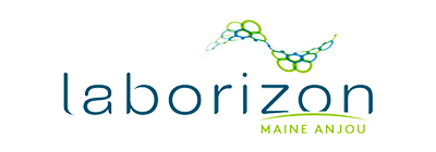 Laborizon Logo